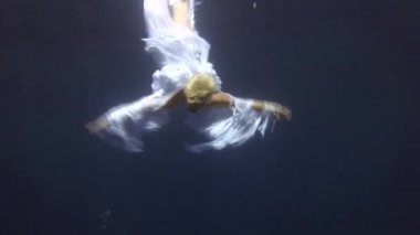 Melek kostüm sualtı modeli Red Sea'deki/daki kamera için poz veriyor.