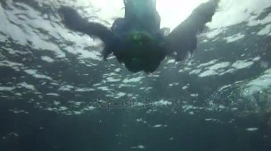 Sualtı modeli ücretsiz diver kostüm melek Kızıldeniz temiz suda yüzüyor.