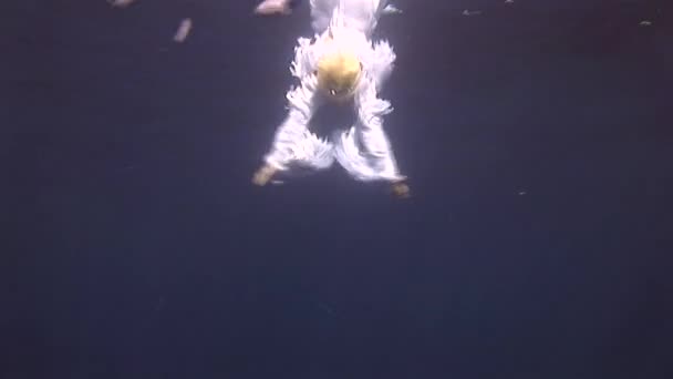 Underwater modell i angel kostym poserar för kameran i Röda havet. — Stockvideo