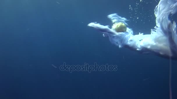 Underwater model in angel costume poses for camera in the Red Sea. — Stock Video