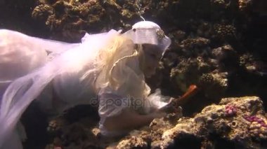 Kostüm korsan sualtı modeli ücretsiz dalgıç Kızıldeniz temiz suda yüzüyor.