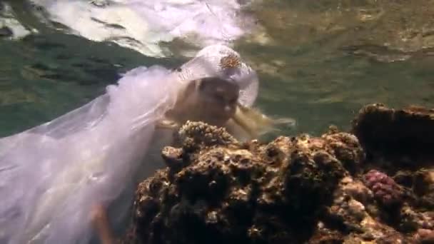 Underwater modell gratis dykare i kostym pirat simmar i rent vatten i Röda havet. — Stockvideo