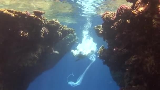 Onderwater model gratis duiker in kostuum piraat zwemt in schoon water in de rode zee. — Stockvideo