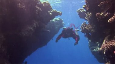 Sualtı modeli ücretsiz diver mercanlar Kızıldeniz içinde arka plan üzerinde Kırmızı elbiseli.