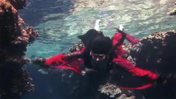 Podvodní model potápěč, v červených šatech na pozadí korály v Rudém moři. — Stock video