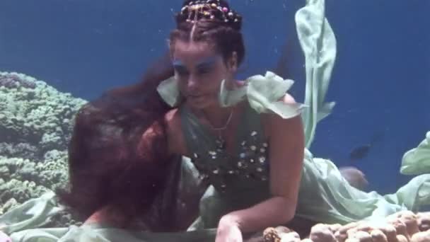 Volný potápěč pod vodou modelu představuje pro fotoaparát na pozadí korály v Rudém moři. — Stock video