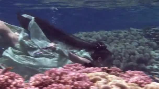 Jeune fille modèle sous-marin pose pour caméra sur fond de coraux en mer Rouge . — Video