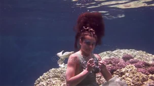 Modello subacqueo subacqueo nuota in acque blu trasparenti e pulite nel Mar Rosso . — Video Stock