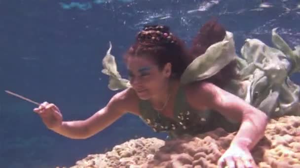 Безкоштовно diver підводний модель у казковому костюмі на фоні коралів в Червоному морі. — стокове відео