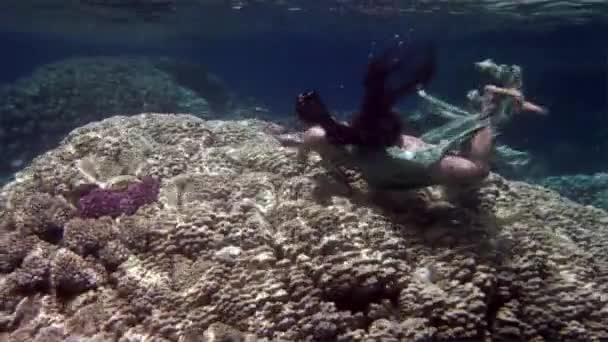Безкоштовно diver підводний модель у казковому костюмі на фоні коралів в Червоному морі. — стокове відео