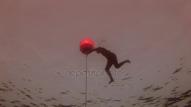 Underwater model free diver swims with red buoy in clean blue water in Red Sea. — Stock Video