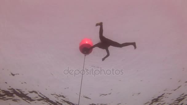 Modèle sous-marin plongeur libre nage avec bouée rouge dans l'eau bleue propre en mer Rouge . — Video