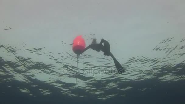Unterwassermodell Freitaucher schwimmt mit roter Boje in klarem blauem Wasser im roten Meer. — Stockvideo
