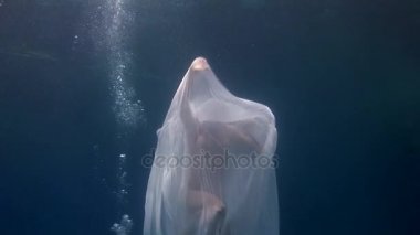 Sualtı modeli genç kız ücretsiz dalgıç Red Sea'deki/daki beyaz şeffaf örtü.