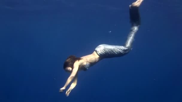 Joven modelo de traje de sirena bajo el agua sobre fondo azul posa en el Mar Rojo . — Vídeo de stock