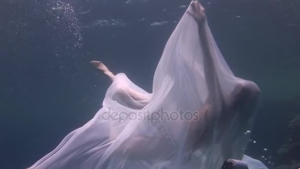 Underwater model young girl free diver in white transparent veil in Red Sea. — Stock Video