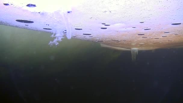 Sottobicchiere di ghiaccio nel Mar Bianco . — Video Stock