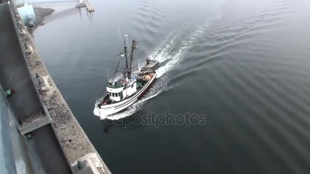 Яхта плавает по спокойной воде Тихого океана под автомобильным мостом на Аляске . — стоковое видео