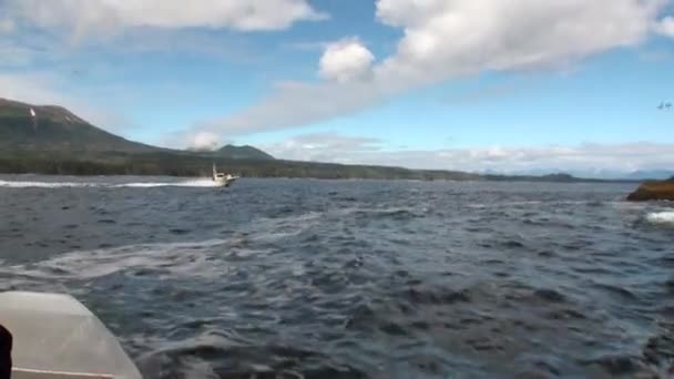 Yacht naviga su acque calme dell'Oceano Pacifico su strada costiera sfondo in Alaska . — Video Stock