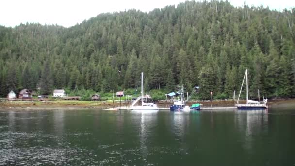 Jetée de yachts sur fond de paysage eau calme de l'océan Pacifique en Alaska . — Video