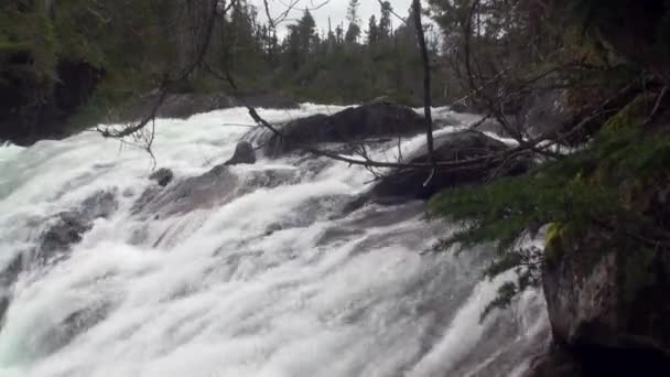Wodospad rzeki górskie na Alasce. — Wideo stockowe