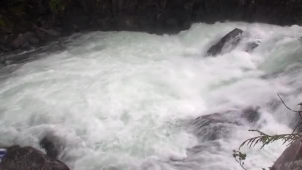 Mountain river waterfall in Alaska. — Stock Video