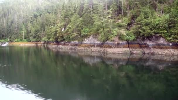 Côte sur fond d'eau calme Océan Pacifique en Alaska .