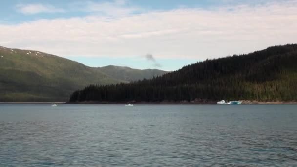Csodálatos táj, a hegyek a háttérben vízfelület a Csendes-óceán. — Stock videók