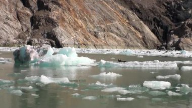 Buzlar dağı ve su Alaska Pasifik Okyanusu'nda arka plan üzerinde hareket.