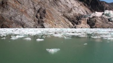 Buzlar su Alaska Pasifik Okyanusu'nda dağda arka plan üzerinde hareket.