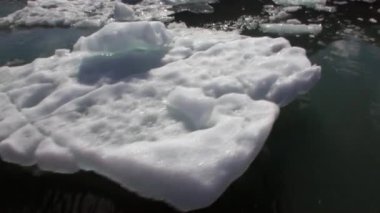 Buzlar su Alaska Pasifik Okyanusu'nda dağda arka plan üzerinde hareket.