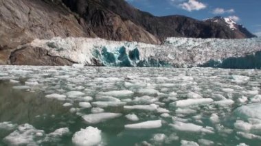Buzlar su Alaska Pasifik Okyanusu'nda dağda arka plan üzerinde hareket.
