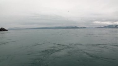 Girdap Pasifik Okyanusu su arka planda inanılmaz Alaska manzaraları.