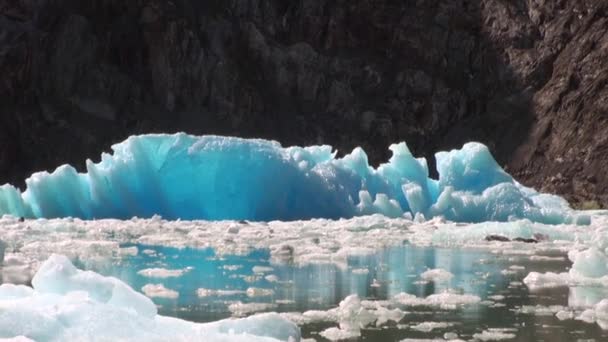 Floes de gelo em movimento no fundo da montanha e da água Oceano Pacífico no Alasca . — Vídeo de Stock