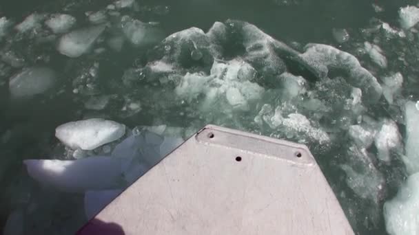 Pohybující se na ledové kry na pozadí hory na vodě Pacifiku na Aljašce. — Stock video