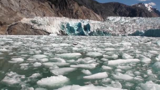 Przenoszenie kry na tle gór na wody Oceanu Spokojnego na Alasce. — Wideo stockowe