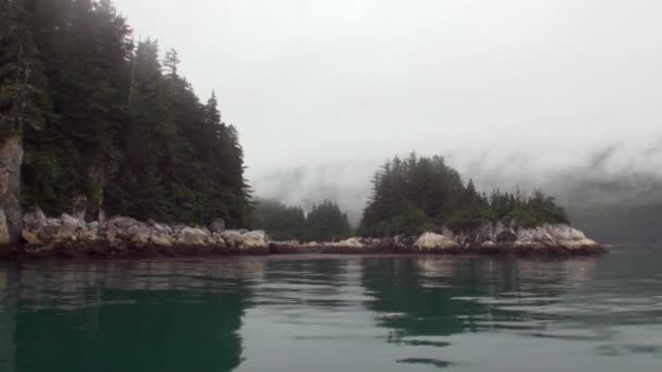 Smrk a borovice lesní na pozadí skalnaté pobřeží z Pacifiku na Aljašce. — Stock video