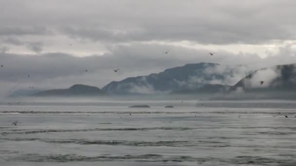 Whirlpool de água do Oceano Pacífico no fundo paisagens incríveis Alaska . — Vídeo de Stock