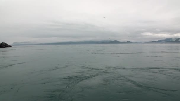 Girdap Pasifik Okyanusu su arka planda inanılmaz Alaska manzaraları. — Stok video