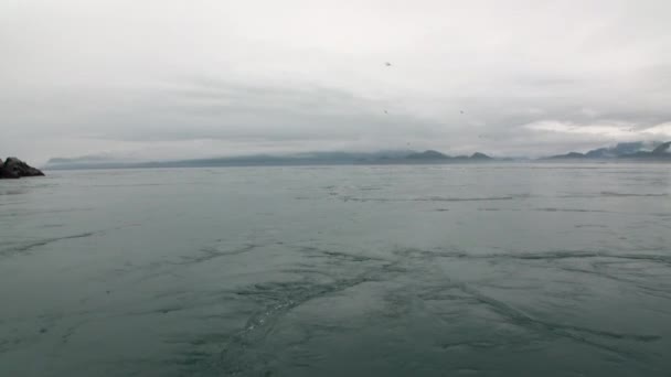 Whirlpool aus Wasser des Pazifischen Ozeans auf dem Hintergrund erstaunliche Landschaften alaska. — Stockvideo