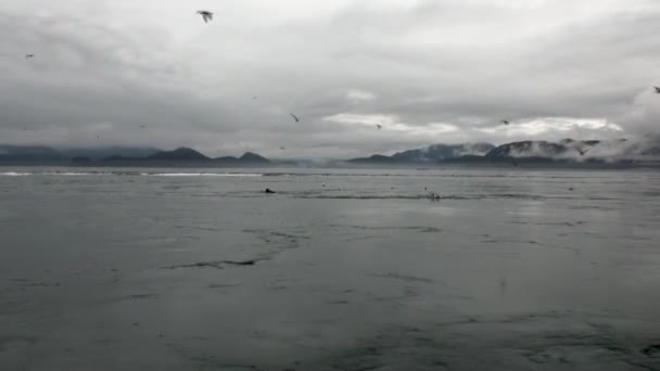 Virvel av vattnet i Stilla havet på bakgrund fantastiska landskap Alaska. — Stockvideo