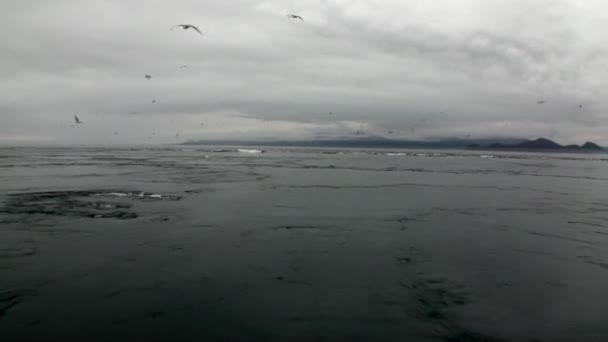 Hidromasaje de agua del Océano Pacífico en el fondo paisajes increíbles Alaska . — Vídeos de Stock