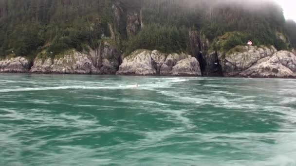 Tourbillon d'eau de l'océan Pacifique sur fond paysages étonnants Alaska .