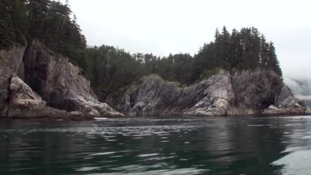 Удивительные пейзажи спокойные воды Тихого океана на фоне побережья Аляски . — стоковое видео