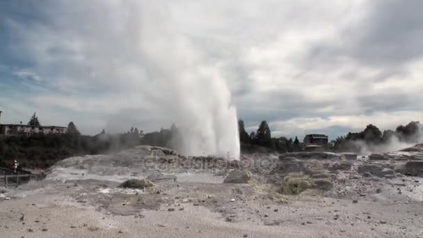 Geysers hot springs on background of forest and sky horizon in New Zealand. — Stock Video