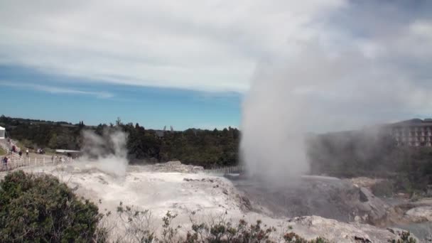 Geysers hot springs on background of forest and sky horizon in New Zealand. — Stock Video