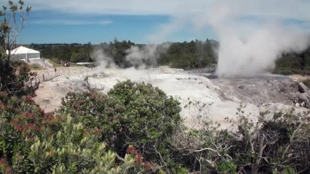 Gejzírek hot springs háttér, erdő és a sky horizont, Új-Zéland. — Stock videók