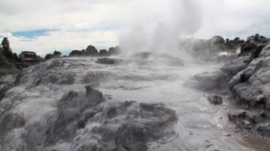 Orman ve gökyüzü ufukta Yeni Zelanda arka plan üzerinde Geysers Kaplıcalar.