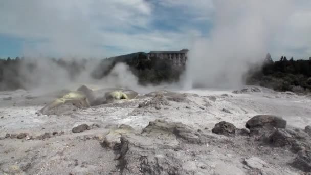 Geysers hot springs on background of forest and sky horizon in New Zealand. — Stock Video