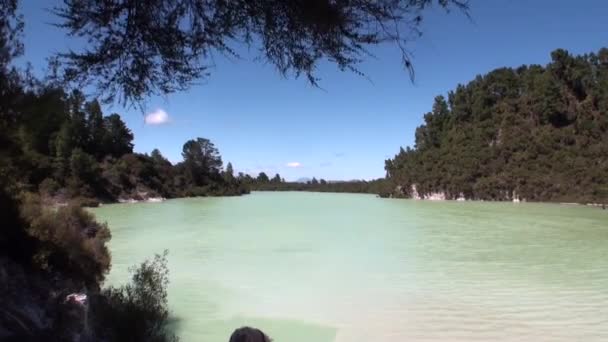 Gejsrar vatten varma källor på bakgrund av skog i Nya Zeeland. — Stockvideo